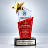 Premium Custom Star-Topped Acrylic Academic Award