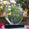 Premium Customized Crystal Glass Award Crest