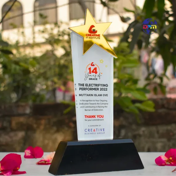 Premium Custom Acrylic Star Performance Memento Award