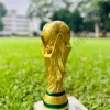 World Cup Trophy for Football Tournament