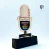 Custom Acrylic Microphone Shape Award